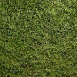 a close up of a green grass texture